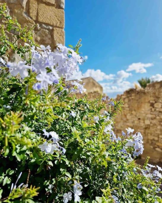 Casa Al Plumbago Villa Termini Imerese Exterior foto